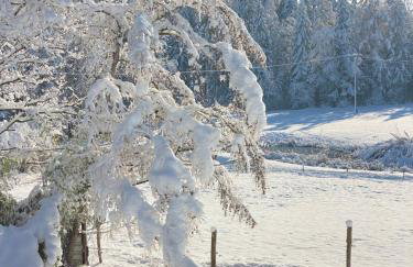 Tiny House Igluhut - Foto 7