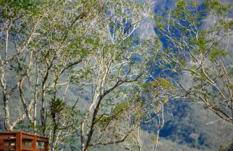 Reserva Caeté - Foto 62