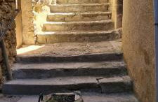 La salamandre - Foto 20