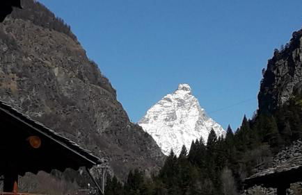 The Green Owl - Foto 35