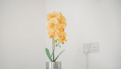 Cambridge North 3 Bedroom Family Home, Spacious Garden, BBQ & Parking - Foto 3