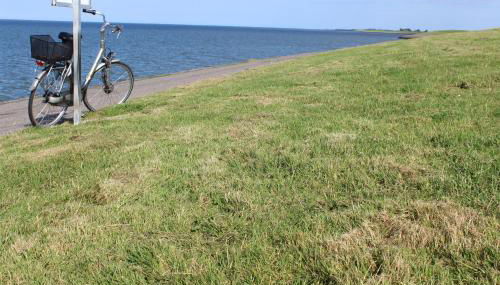 Ferienwohnung Rabenstein - Foto 5