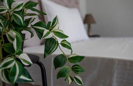 Nikitas Apartments & Suites - Foto 23