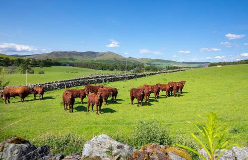 Nettlebush Cottage-Uk5629 - Photo 14