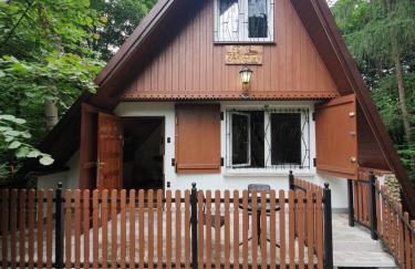 Leśny Zakątek - Foto 2