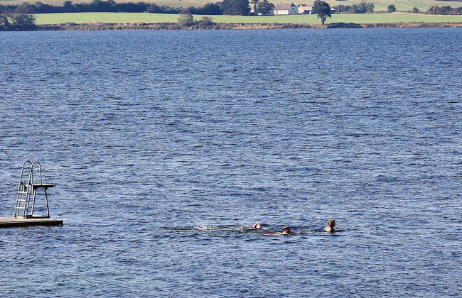 4 Person Holiday Home on a Holiday Park in Faaborg - Photo 41