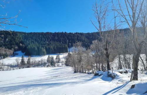 Chalet, Murat (nouveau logement) - Photo 8