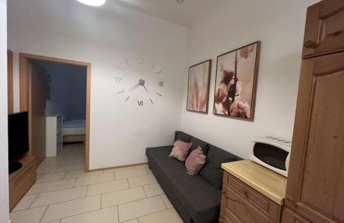 Private Souterrain Apartment in the green of Berlin - Foto 23