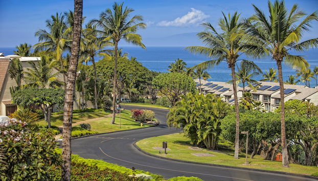 Mostrador de check-in y check-out