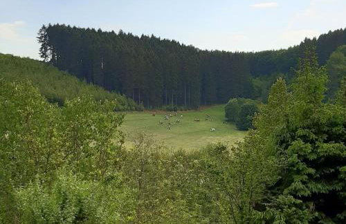 Ferienhaus Maag, 102qm - Photo 11