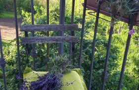 Monferrato vini castelli - Foto 7