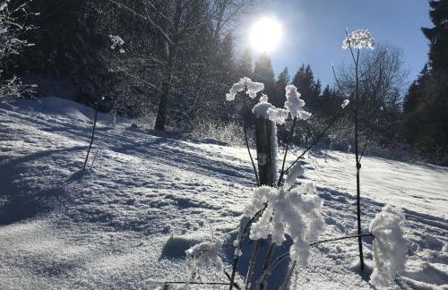 AllgäuZeit Isny - Foto 27