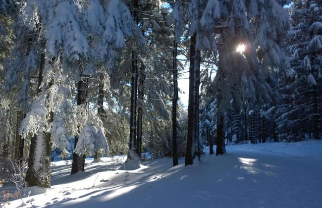Cozy Holiday Home in Großbreitenbach near Schwarza Valley - Foto 29