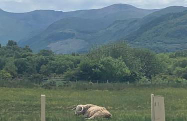 Ben Nevis Manor Lodge & Indoor Private Hot-Tub - Photo 21