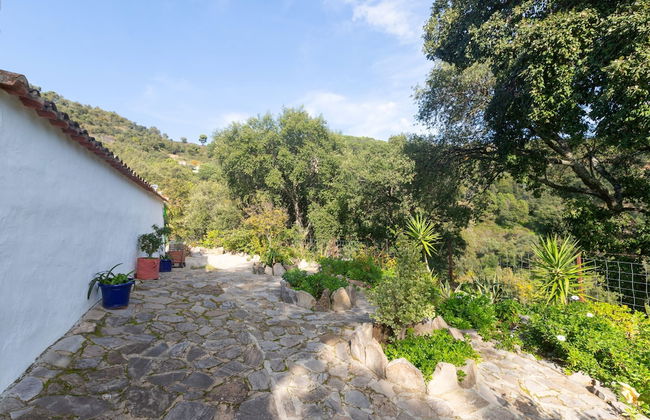 Aurora in Benarrab - Foto 30