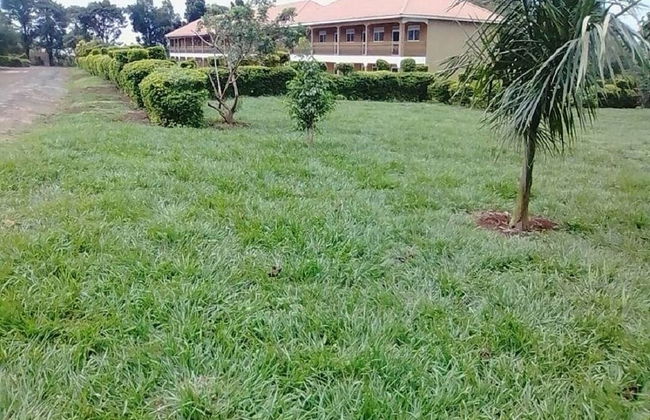 Royal Paradise Hotel - Foto 15