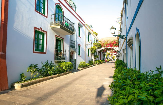 Apartamentos LIVVO Puerto de Mogán - Foto 48