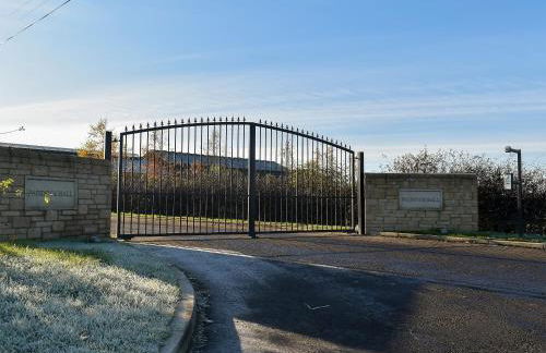 Petronella - Foto 24