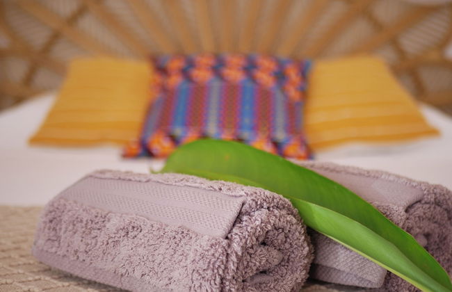 Coco Soley - Photo 12