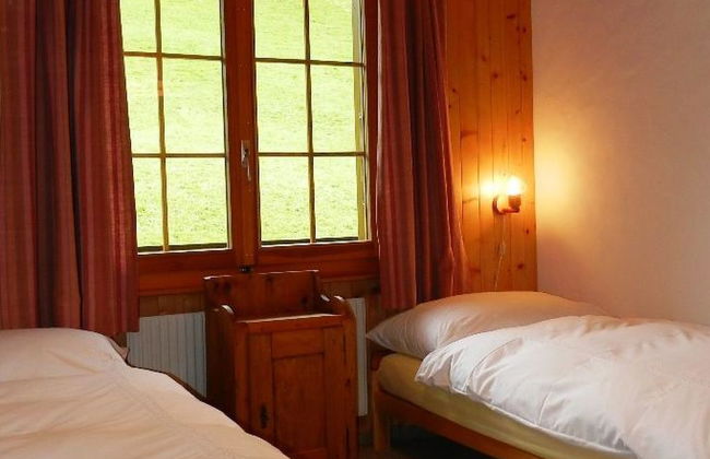 Hornflue (Baumann) - Foto 27