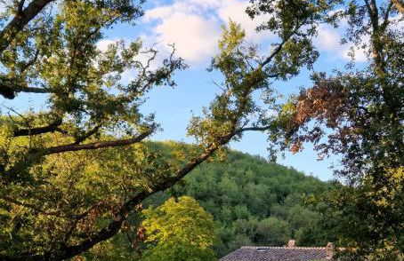 Molino di Cogno - Foto 68