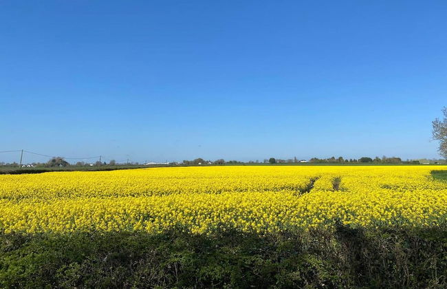 Countryside Home Located Just Outside Dublin City - Foto 22