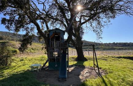 Maison calme au cœur des vignes - Foto 31