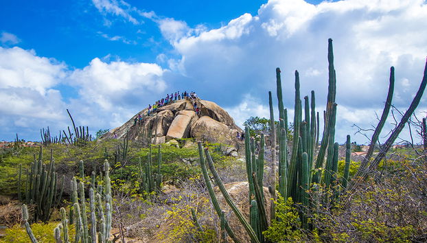 Os grandes destaques de Aruba - Foto 2