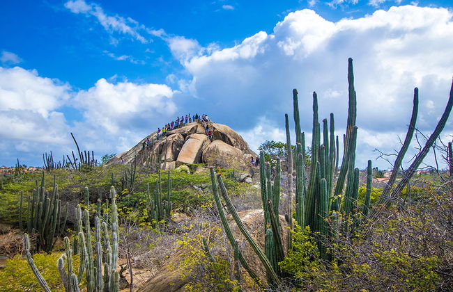 Tour dei punti salienti di Aruba - Foto 2