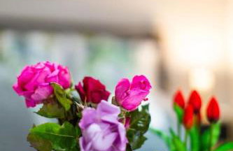 Cozy Resort - Foto 7