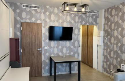 MULTIRESIDENCE L'ELYSEE Paris - Foto 53