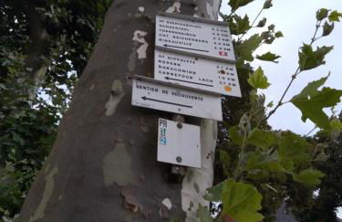 Bergheim Piscine - Foto 36