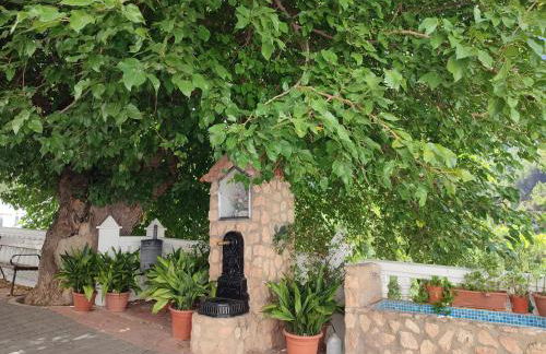 El Cantón - Alojamiento Rural - Foto 56