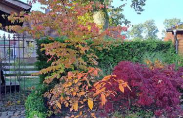 Ferienwohnung Am Speicher - Foto 13