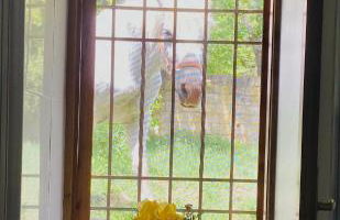 Casa Prada en Sanabria - Foto 21