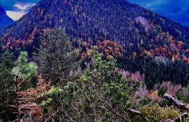 Casa Bagatin - Photo 28