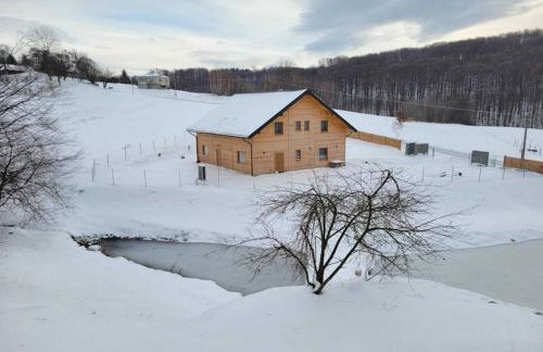 Holiday Home Wi niowa with Pool and Nature - Photo 32