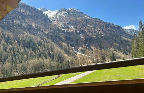 Feichterhof - Photo 38