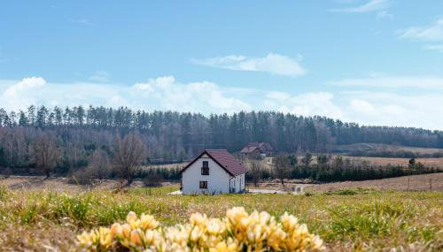 Amazing Home In Gietrzwald With Wifi - Foto 2