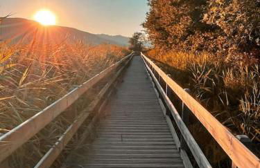 Ozollo Bekoa - Casa con piscina en el corazón de Urdaibai. - Foto 47