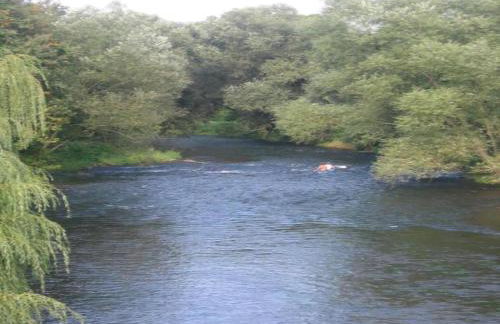 Two separate farmhouse apartments under one roof - Foto 33