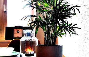 Rostock hautnah erleben - schöne Maisonette 2OG - Foto 11