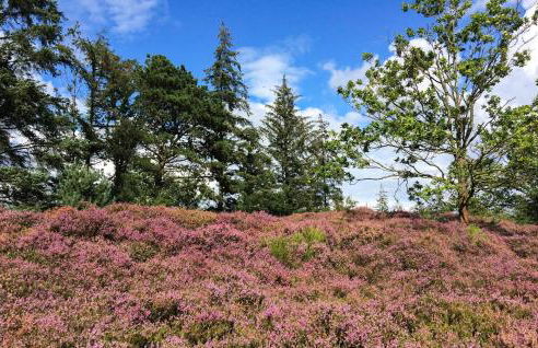 Cozy Home In Langenhorn With Wifi - Foto 27