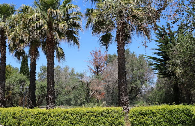 Villa Covile - Foto 35