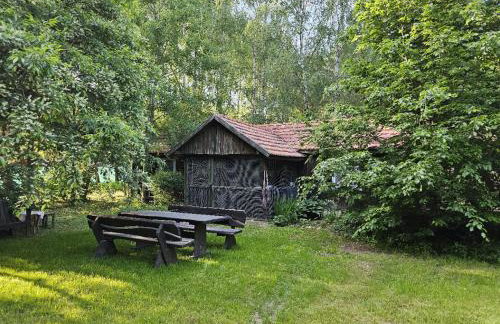 Dom Pod Brzozami Lipinki Bory Tucholskie basen - psy, koty mile widziane! - Photo 2