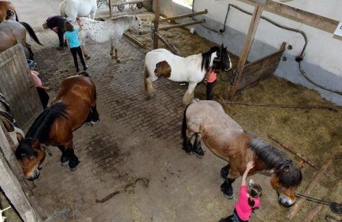 Nengshof Ferienhaus Gänseblümchen - Foto 32