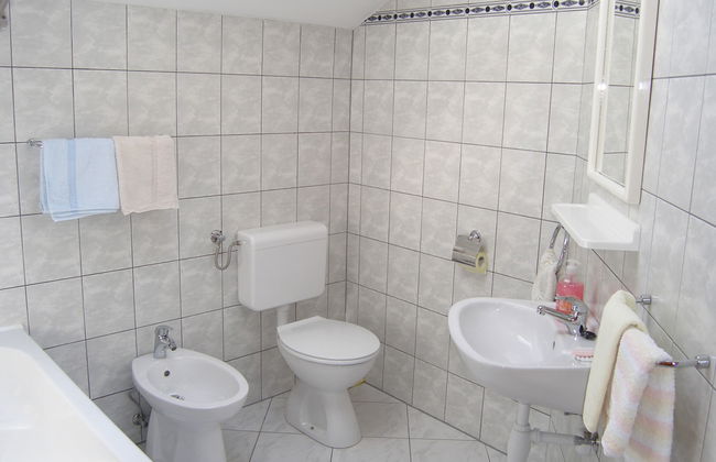 Plavac Mali - Photo 11