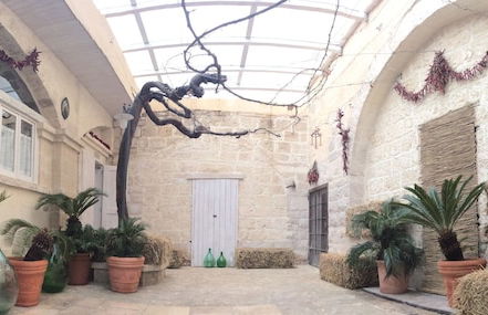 Masseria Chiusurella - Photo 49