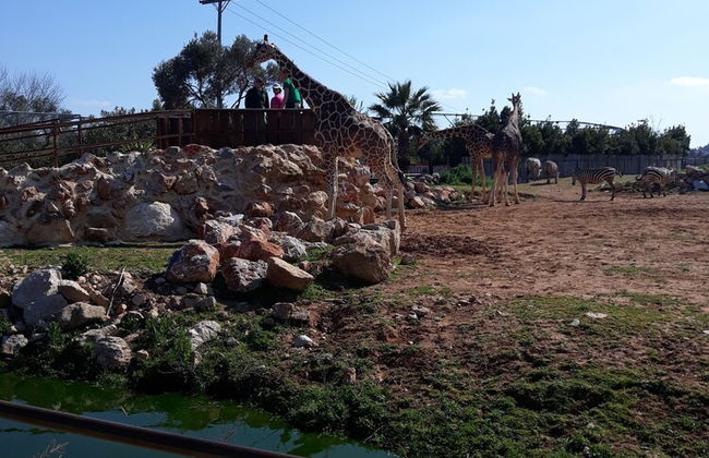 Private House near Port of Piraeus - Foto 9