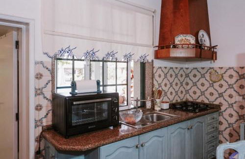 Casa Rural Oliveira do Bairro - Foto 19